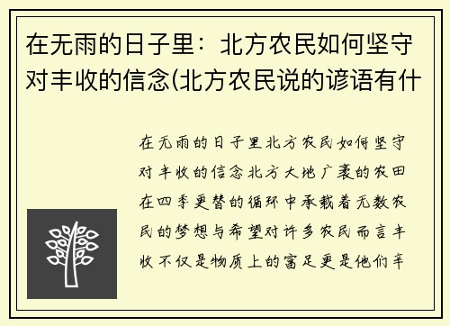 在无雨的日子里：北方农民如何坚守对丰收的信念(北方农民说的谚语有什么)